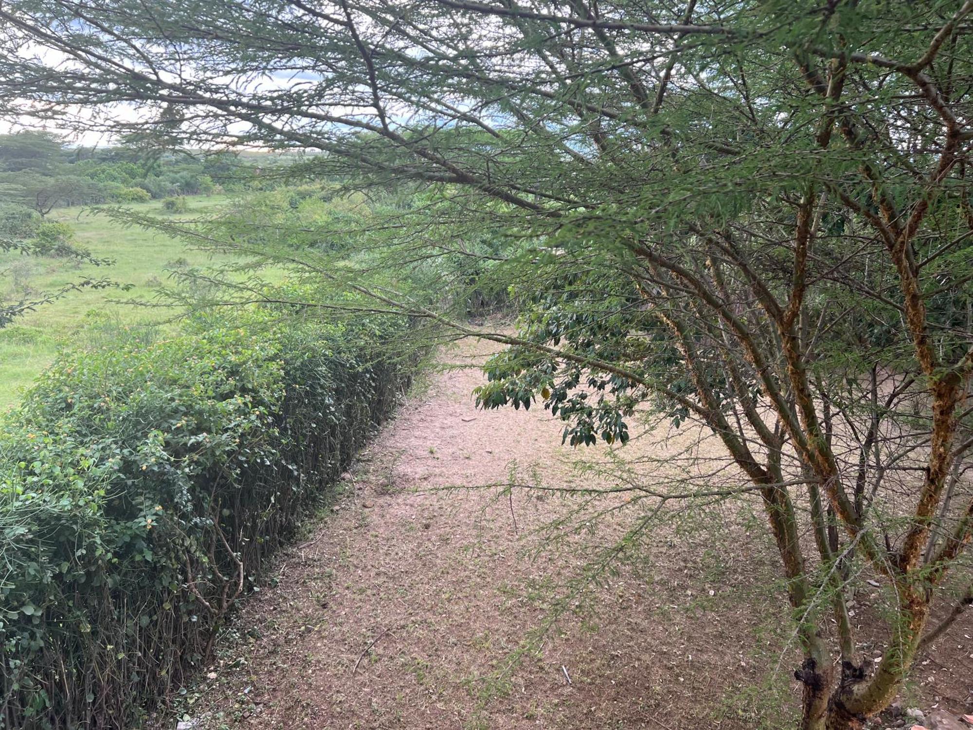 Olaloi Mara Camp Villa Maasai Mara Ngoại thất bức ảnh